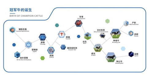 育种科技结硕果 优然牧业赛科星联合主办家畜生物育种与胚胎工程技术国际学术研讨会