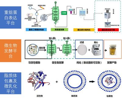 通过产学研合作,这所211高校孵化了一家高新技术护肤企业