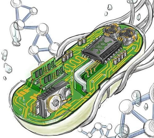 science 用人工蛋白质做逻辑门电路,把细胞变成计算机