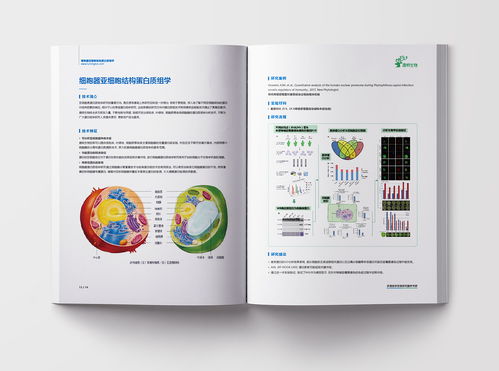 生物科技 医药 科研 平面 书装 jissibon zcool